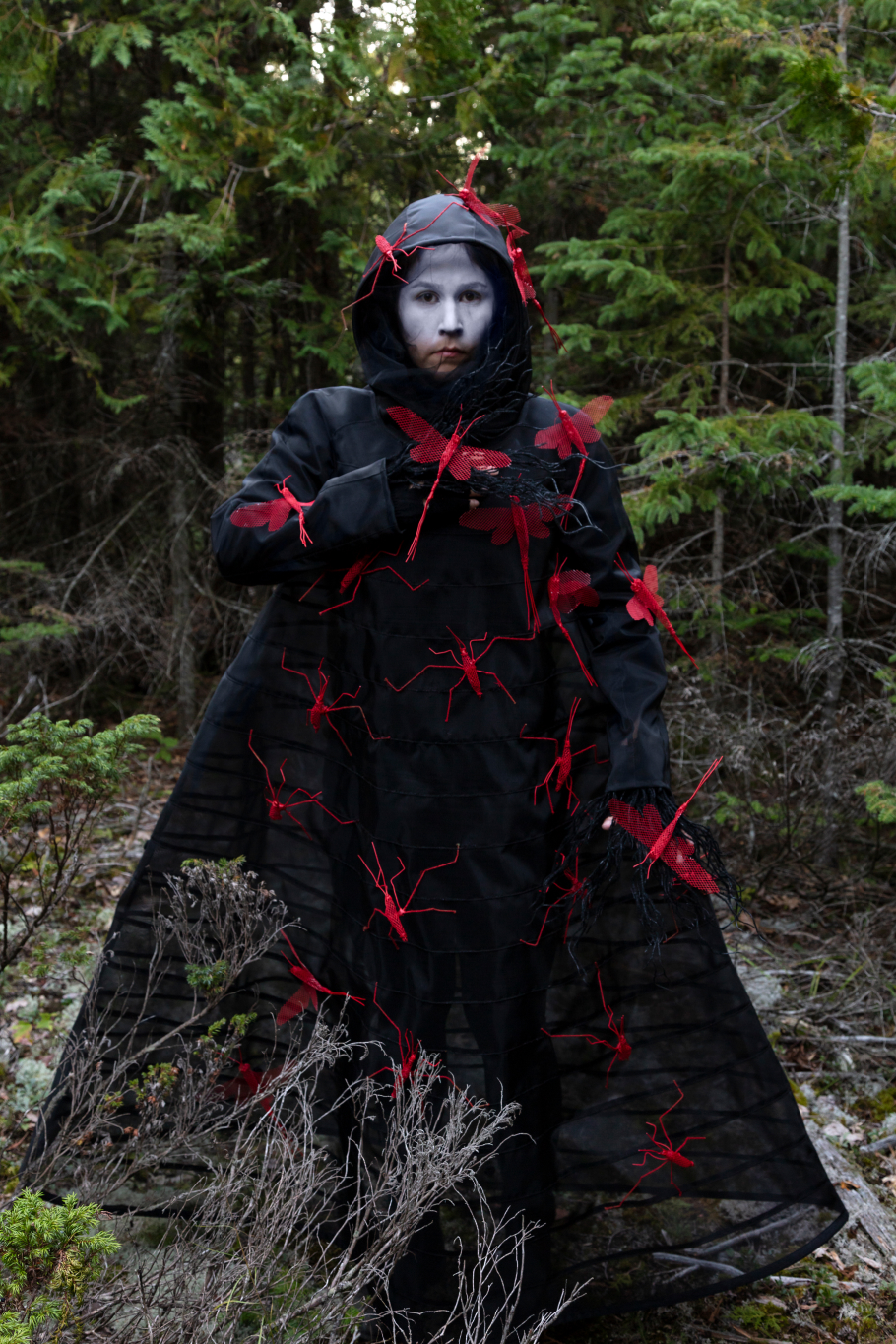 What Will I Say to the Sky and the Earth I by Meryl McMaster