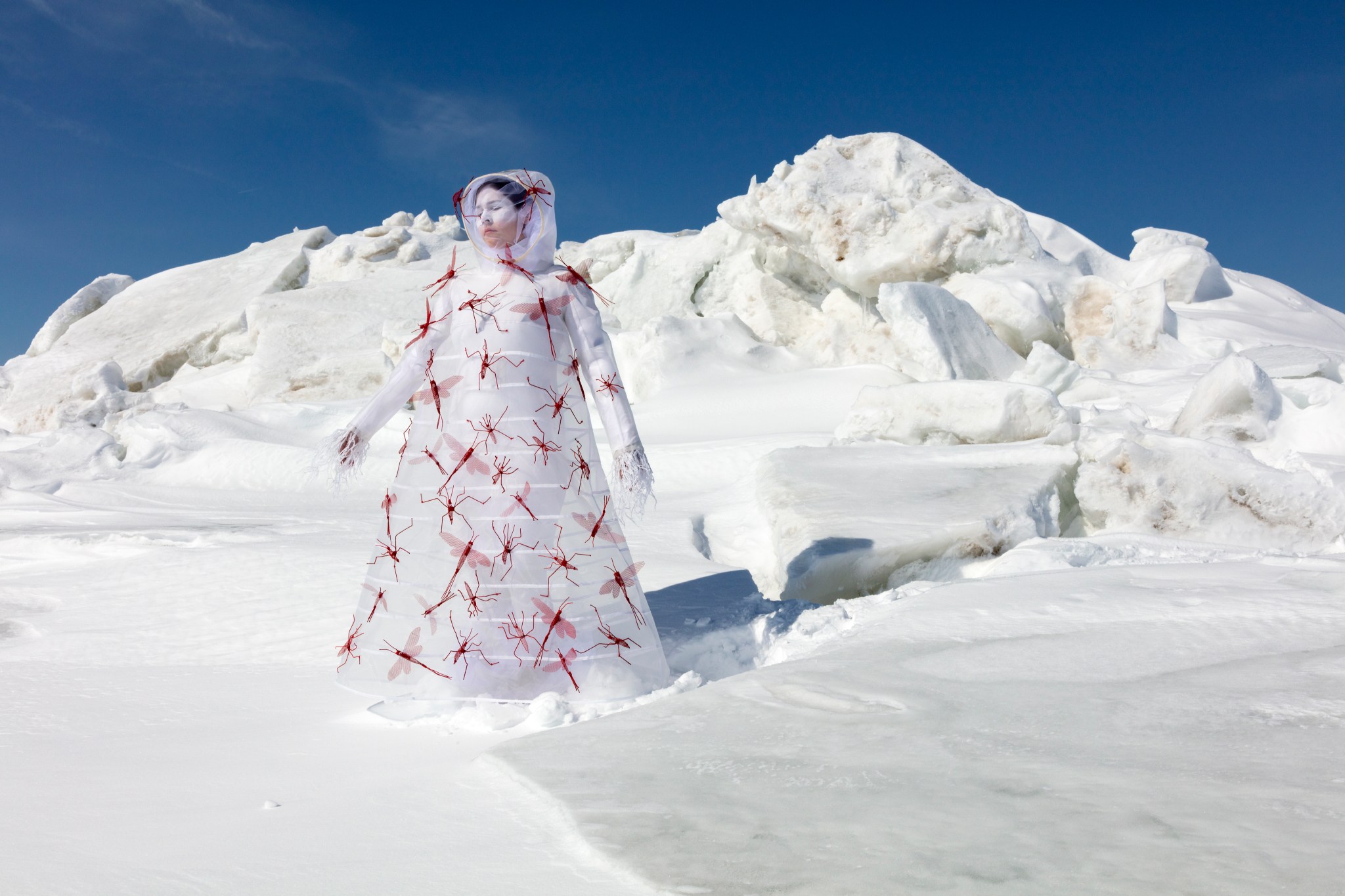 What Will I Say to the Sky and the Earth II by Meryl McMaster